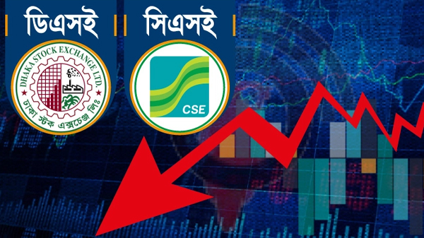 dse-10 loser